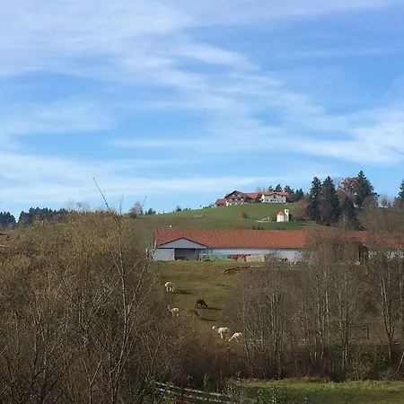 Haus Johanna شقة *
